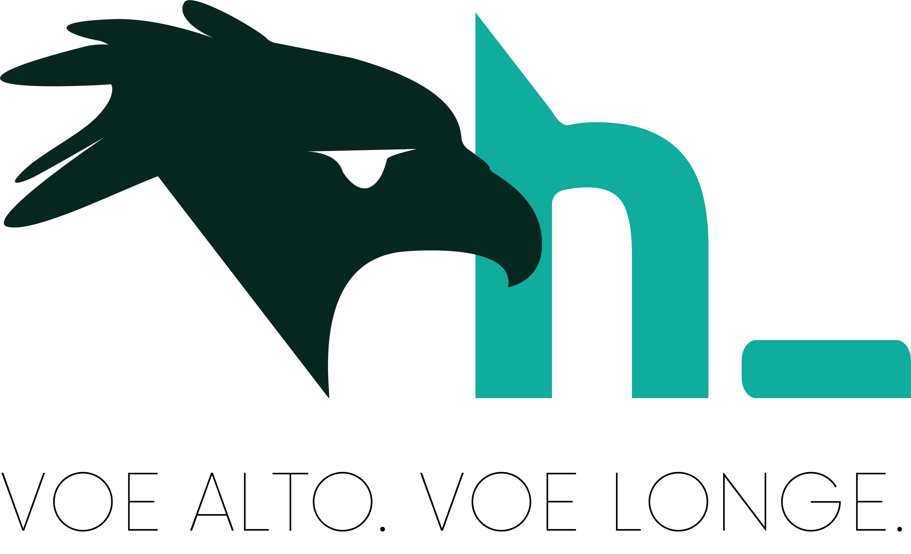 Equipe Harpia Consultoria